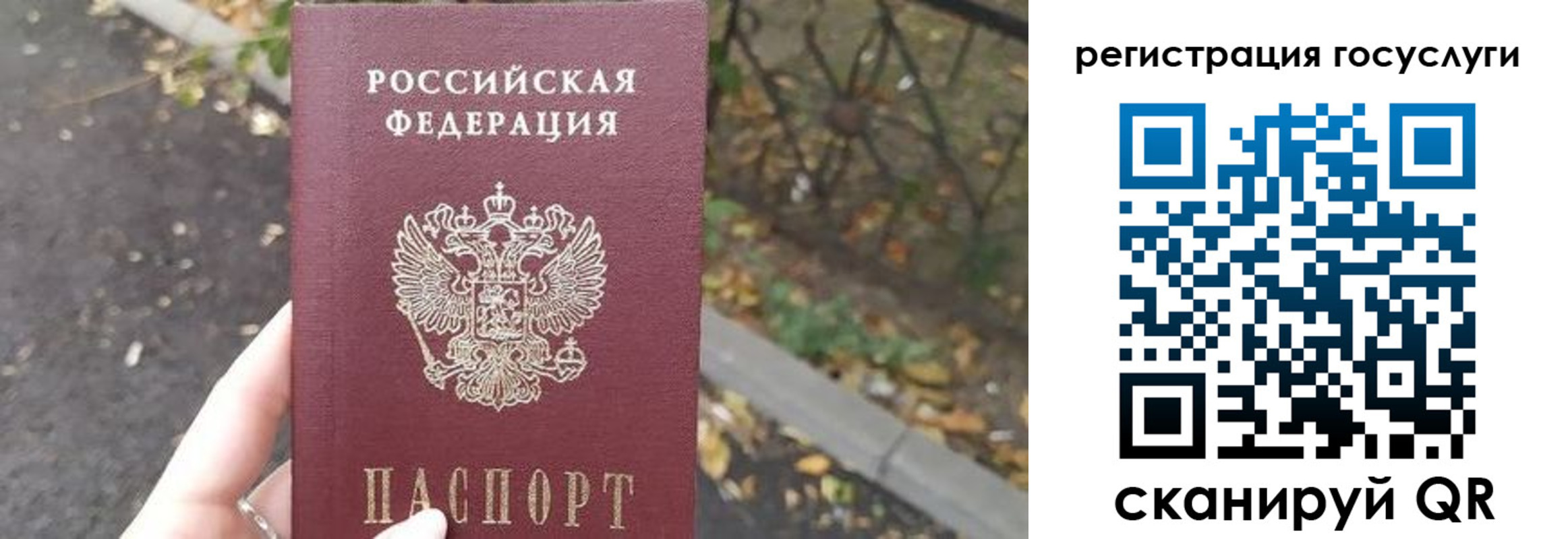 купить прописку в Смоленской области